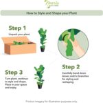 Practically Pure 42” Spathiphyllum Synthetic (Actual Contact) Silk Crops G... - Image 4