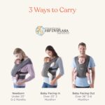 Ergobaby Embrace Child Provider New child to Toddler - Breathable Child Automobile... - Image 3