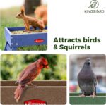 Kingsyard Floor Fowl Feeder for Outside - Recycled Plastic Platform ... - Image 6