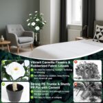 3FT Synthetic Camellia Tree, 2 Pack Faux Camellia Tree Synthetic Tre... - Image 6