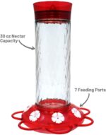 Extra Birds Diamond Well being Hummingbird Feeders for Open air, Pack of 1,... - Image 4