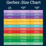 Gerber Unisex-Child Sneakers Crib Sneakers New child Toddler Toddler Impartial ... - Image 6