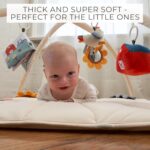 Lovely Child Play Fitness center and Tummy Time Mat - Mushy Mat with 5 Farm Toys... - Image 5