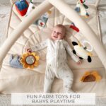 Lovely Child Play Fitness center and Tummy Time Mat - Mushy Mat with 5 Farm Toys... - Image 7