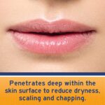 Neosporin Lip Well being In a single day Wholesome Lips Renewal Remedy Petrolatum... - Image 16