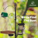 Kingsyard Double Upside Down Suet Feeder with Weatherproof Roof, All M... - Image 8