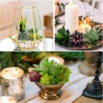 Anoak Synthetic Succulent Vegetation - 16 Pcs Set Fake Succulents Unpotte... - Image 3