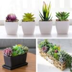 Anoak Synthetic Succulent Vegetation - 16 Pcs Set Fake Succulents Unpotte... - Image 4