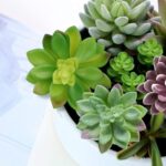 Anoak Synthetic Succulent Vegetation - 16 Pcs Set Fake Succulents Unpotte... - Image 5