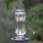 Perky-Pet 8132-2 Starglow Classic Glass Hummingbird Feeder - Image 3