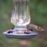 Perky-Pet 8132-2 Starglow Classic Glass Hummingbird Feeder - Image 4