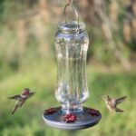 Perky-Pet 8132-2 Starglow Classic Glass Hummingbird Feeder - Image 5