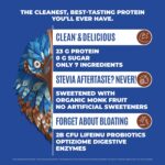 Falcon Vegan Protein Powder Natural, Stevia & Sugar Free, Plant Primarily based ... - Image 3