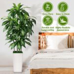 Synthetic Dracaena Tree Indoor, 5FT Tall Pretend Tree with White Tall Pl... - Image 7