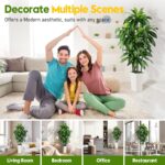 Synthetic Dracaena Tree Indoor, 5FT Tall Pretend Tree with White Tall Pl... - Image 9