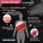 Sculpt Muscle Upkeep Physique Cream - Formed & Balanced Physique Muscle R... - Image 5