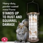 Perky-Pet 114B Squirrel Stumper Hen Feeder, Copper - Image 7