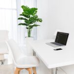 SAJANDAS Set of two Synthetic Monstera Deliciosa Crops in Pots, Pretend T... - Image 7