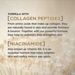 L'Oreal Paris Age Excellent Collagen Skilled Anti-Growing old, Anti-Wrinkle Nig... - Image 4