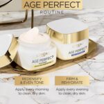 L'Oreal Paris Age Excellent Collagen Skilled Anti-Growing old, Anti-Wrinkle Nig... - Image 5