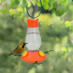 Perky-Pet 465-2 Vine Oriole Feeder - Image 3