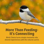 Birds Alternative RED DOME Protecting Dome, Protecting Cowl for Hanging Bi... - Image 9