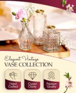 Premium Heirloom Hills Bud Vases for Dwelling Decor, Crystal Clear Glass F... - Image 3