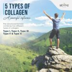 Revive Naturals Multi Collagen Hydrolyzed Protein Powder (16oz) - Sort... - Image 6
