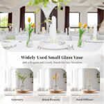 Glasseam Clear Flower Vases for Centerpieces: Trendy Glass Vase Set of... - Image 5