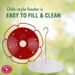 Perky-Pet 282-1SR Oasis Plastic Hummingbird Feeder – 16 oz,Pink - Image 3