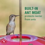 Perky-Pet 282-1SR Oasis Plastic Hummingbird Feeder – 16 oz,Pink - Image 6