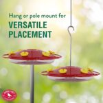 Perky-Pet 282-1SR Oasis Plastic Hummingbird Feeder – 16 oz,Pink - Image 7