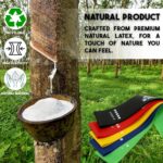 Train Resistance Bands for Working Out Set of 5 for Girls and Males, ... - Image 6