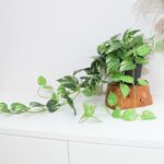 Faux Pothos Hanging Vegetation - Set of two Synthetic Silk Ivy Vines with P... - Image 4