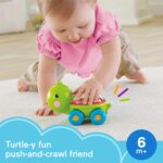 Fisher-Worth Child Crawling Toy Poppity Pop Turtle Push-Alongside Automobile w... - Image 3