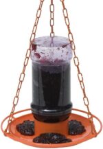 Perky-Pet Jelly Feeder Oriole 32 Oz - Image 3