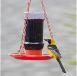 Perky-Pet Jelly Feeder Oriole 32 Oz - Image 4