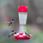 Perky-Pet 9201-6 High-Fill Pinch-Waist Glass Hummingbird Feeder – 12 oz... - Image 3