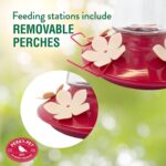 Perky-Pet 9201-6 High-Fill Pinch-Waist Glass Hummingbird Feeder – 12 oz... - Image 5