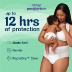 All the time Discreet Postpartum and Grownup Incontinence Underwear for Ladies,... - Image 3