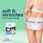 All the time Discreet Postpartum and Grownup Incontinence Underwear for Ladies,... - Image 4