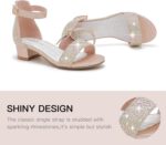 Dufannie Ladies Sandals Low Heels Costume Pump Ankle Strap Open Toe Flowe... - Image 4