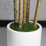 Synthetic Dracaena Tree 5FT - Pretend Crops Tree with White Planter - F... - Image 5