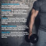 NEEMO Micronized Creatine Monohydrate Gummies for Males & Ladies, Creatin... - Image 4