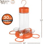 Nature's Method Hanging Glass Oriole Feeder for Outside Décor, 30 Ounce C... - Image 4