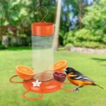Nature's Method Hanging Glass Oriole Feeder for Outside Décor, 30 Ounce C... - Image 7
