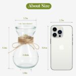 Clear Glass Bud Vase Set of 12 Pcs, Small Glass Vases for Flowers Wedd... - Image 3