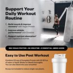 RNWY 25g Chocolate Protein + 5g Creatine Powder, Vegan Plant-Primarily based Professional... - Image 3