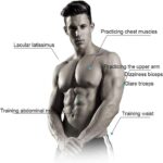 Ab Curler Wheel - Core & Chest Muscle Coaching Wheel, Abs Exercise Equi... - Image 2