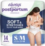 All the time Discreet Postpartum and Grownup Incontinence Underwear for Ladies,... - Image 2